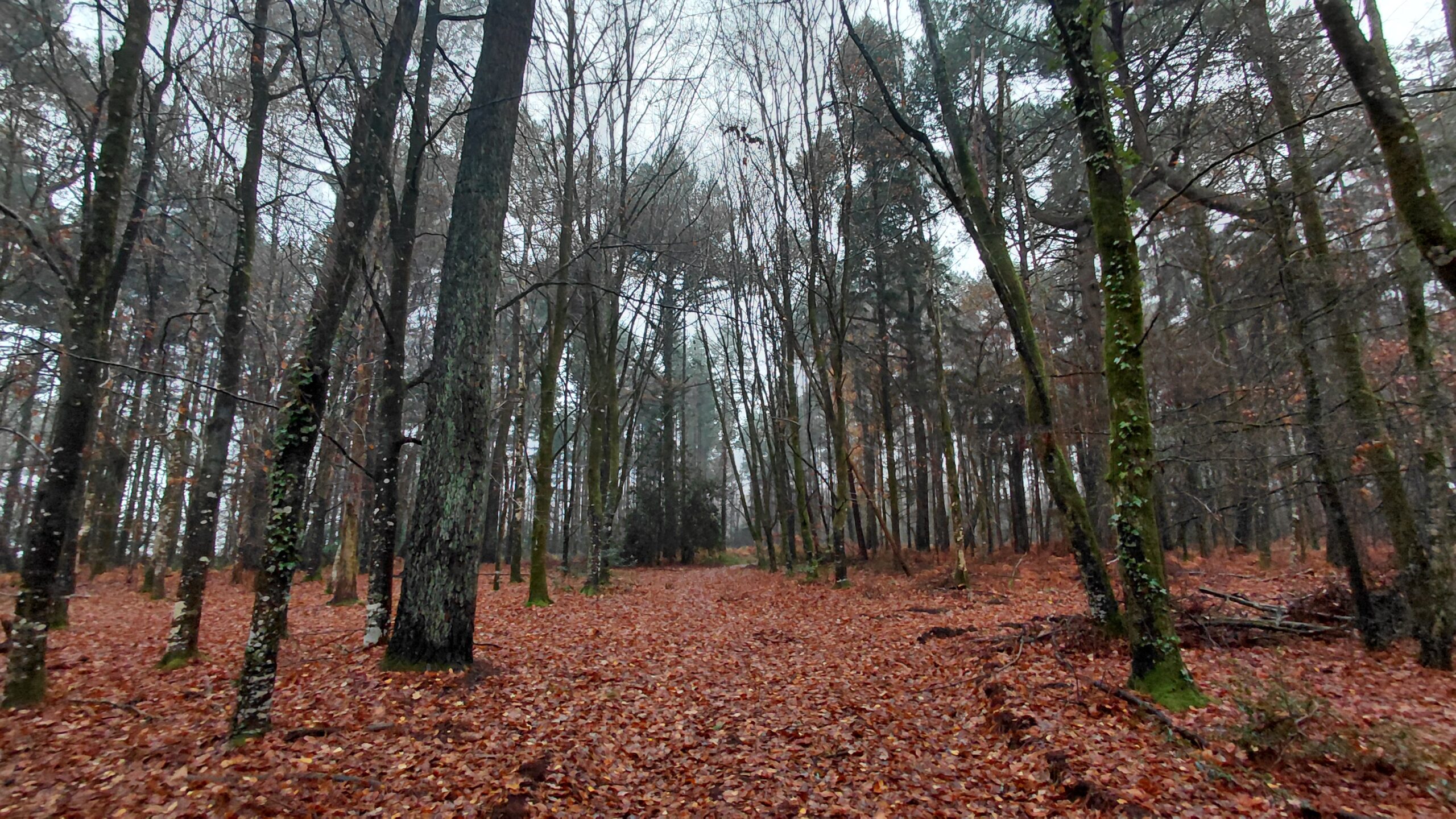 https://sylvatransaction.fr/wp-content/uploads/2026/04/Photo-Mandat-105-Kervignac-2-scaled.jpg