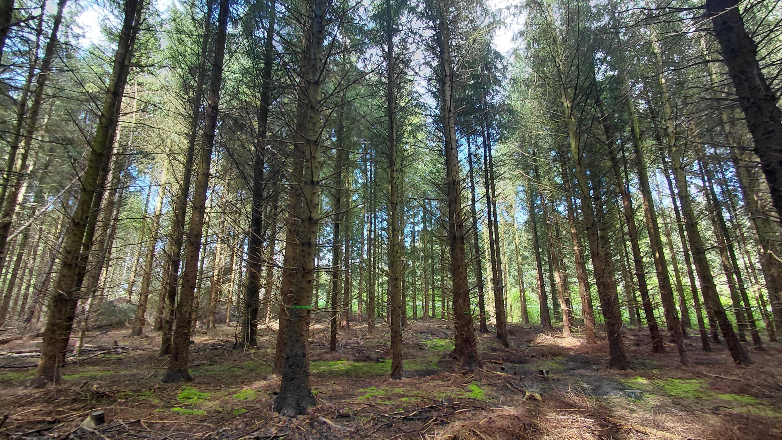 Photo d'illustration 1 Mandat 2026-0602-93- LOCMALO