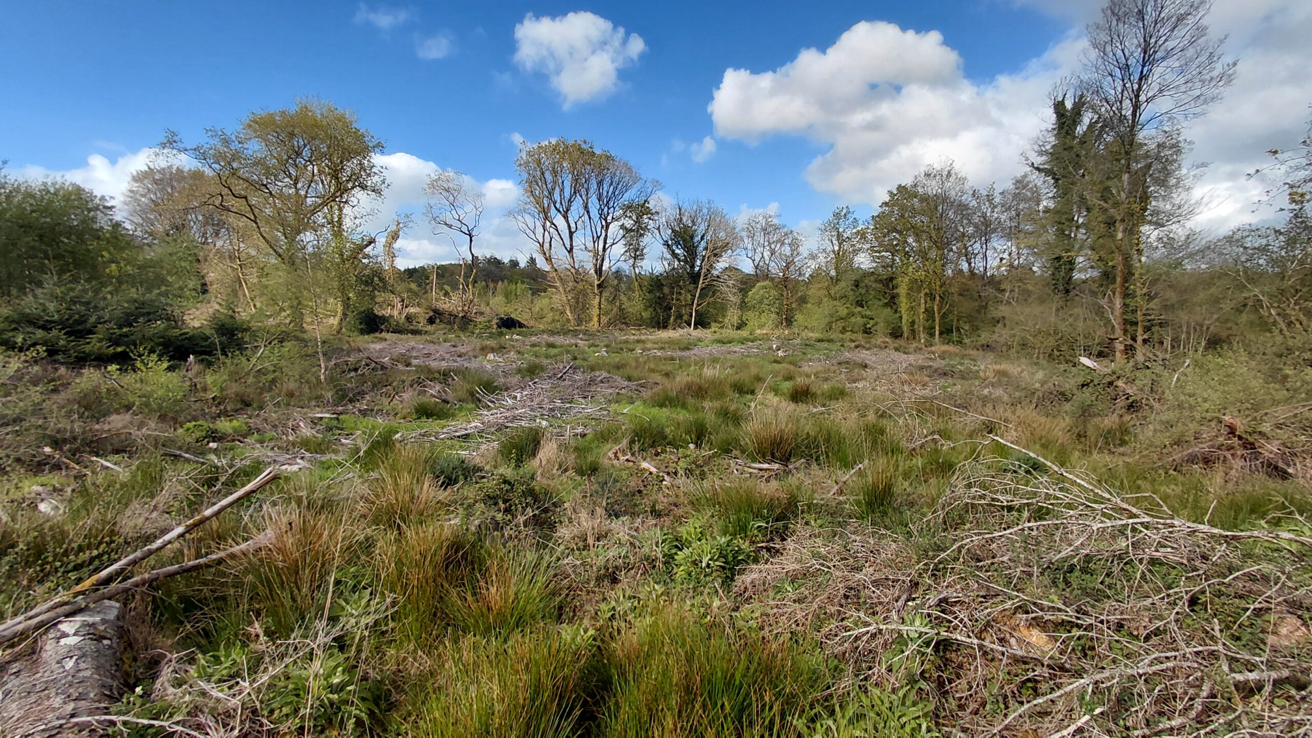 Photo d'illustration 1 mandat 2024-0710-56 - TREGORNAN