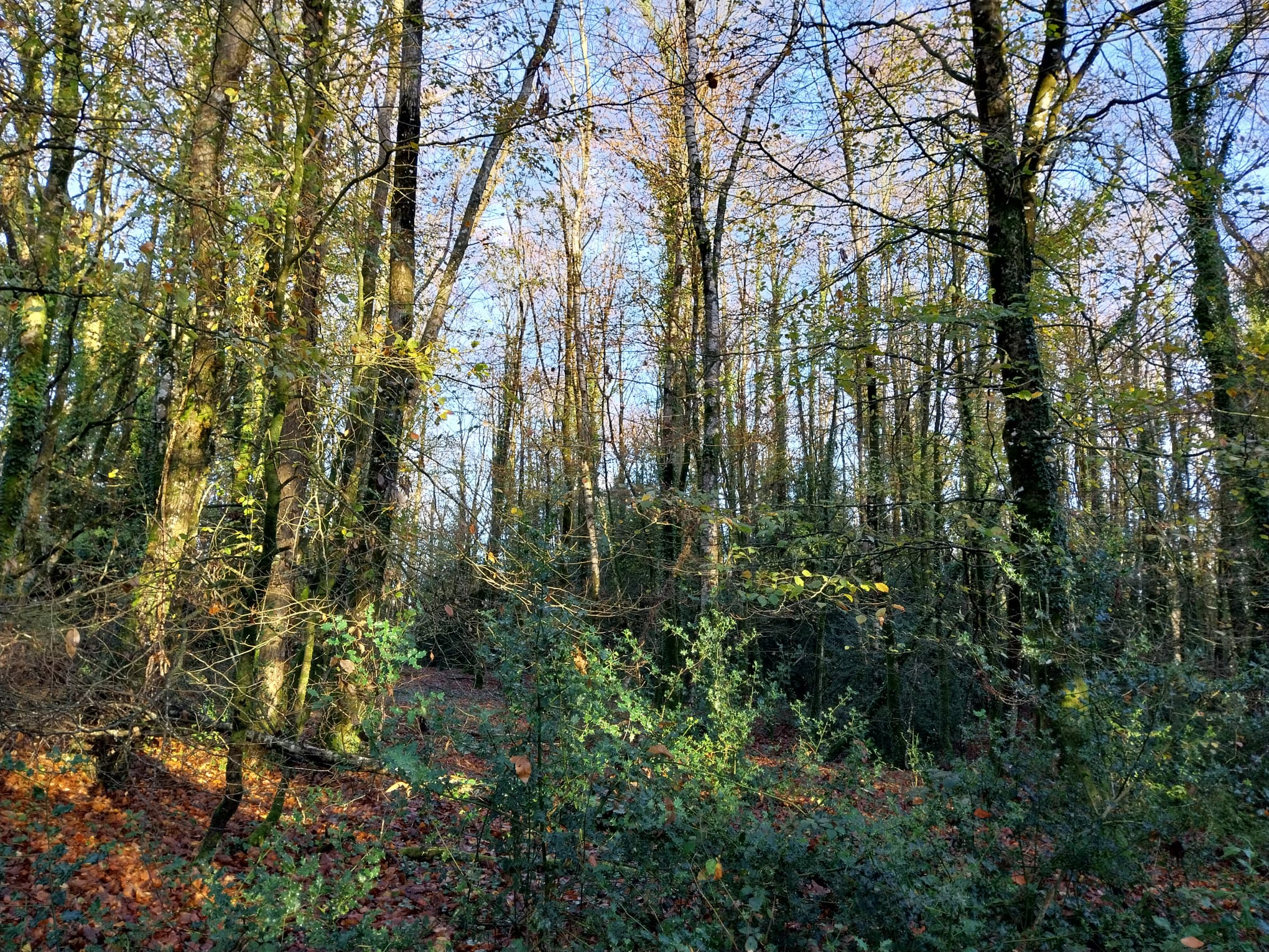 https://sylvatransaction.fr/wp-content/uploads/2026/04/SCI-VIEUX-SAINT-YVES-mandat-2026-0302-92-10.jpg